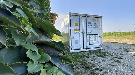 Hűtőházak a boripar számára
