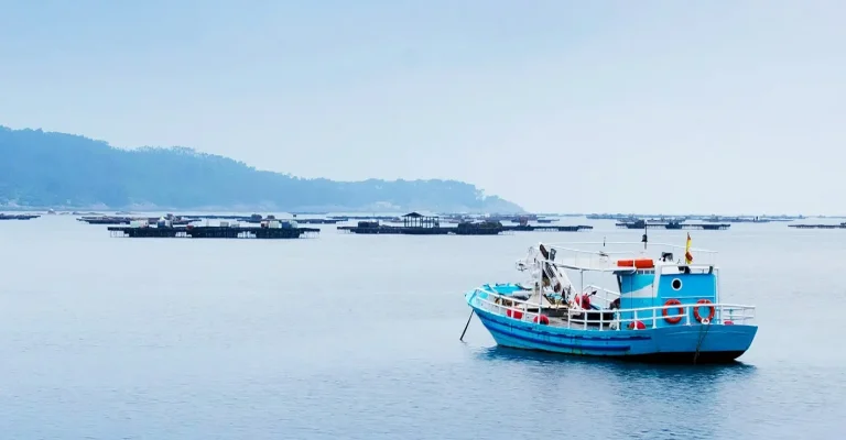 A tonhal látványos visszatérése Dániába